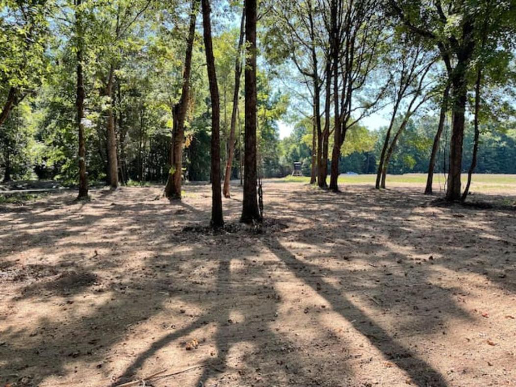 Charming Tiny Home! Close To Oxford, Sardis Lake, Safari Animal Zoo 외부 사진