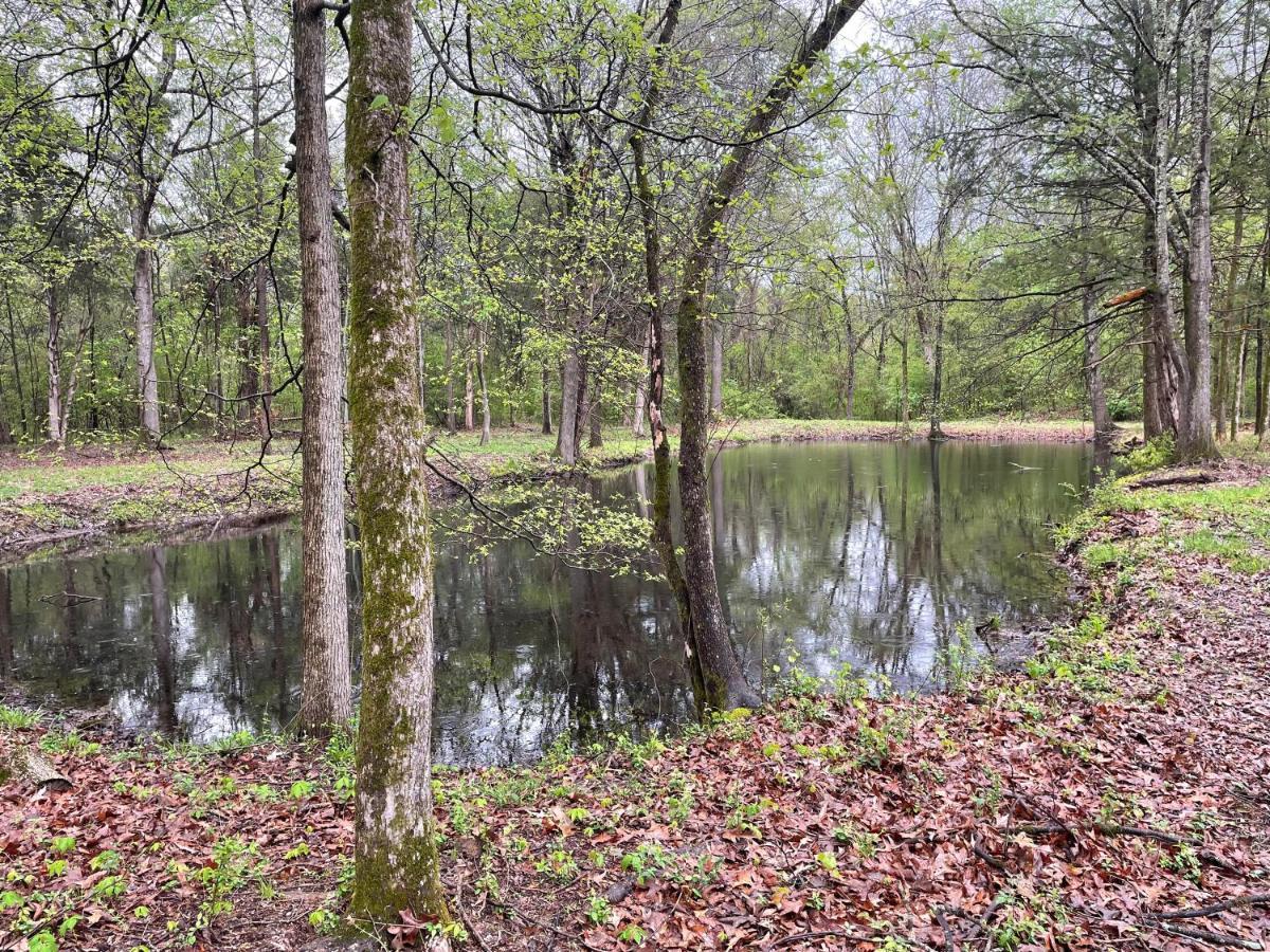 Charming Tiny Home! Close To Oxford, Sardis Lake, Safari Animal Zoo 외부 사진